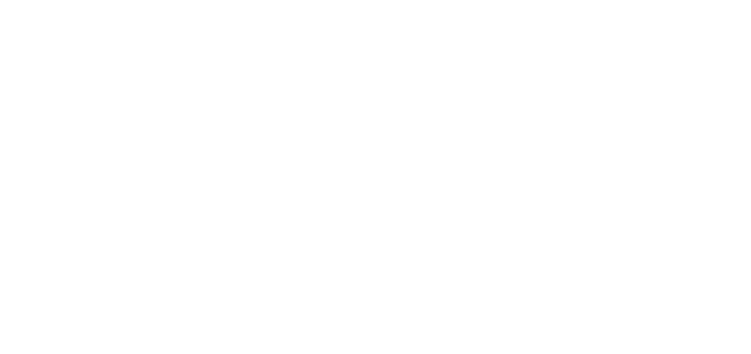 ШОК